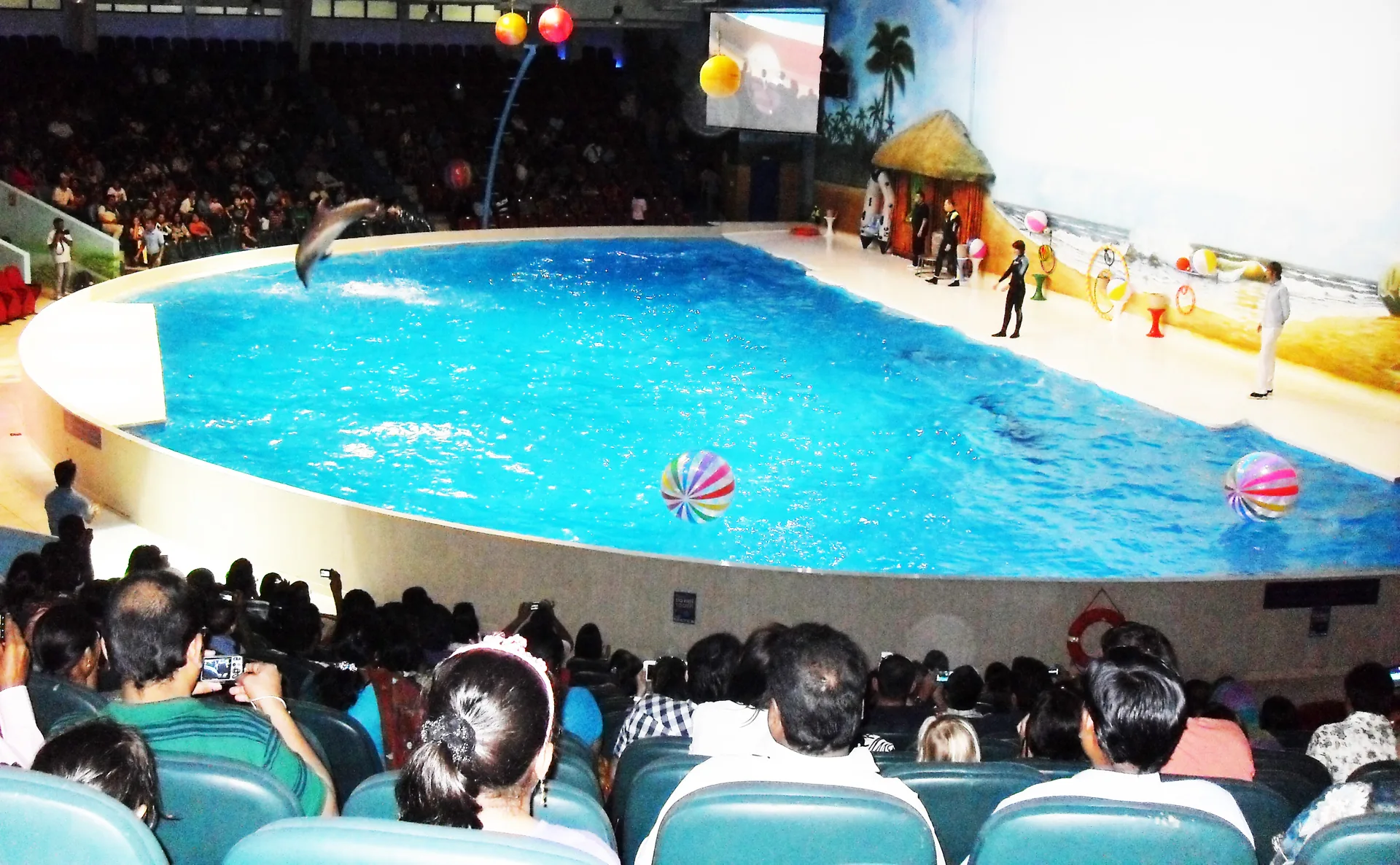 Dolphinarium Dubai